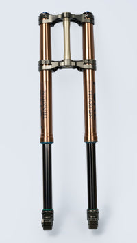TRAXION | 260mm Travel - Surron Ultra Bee