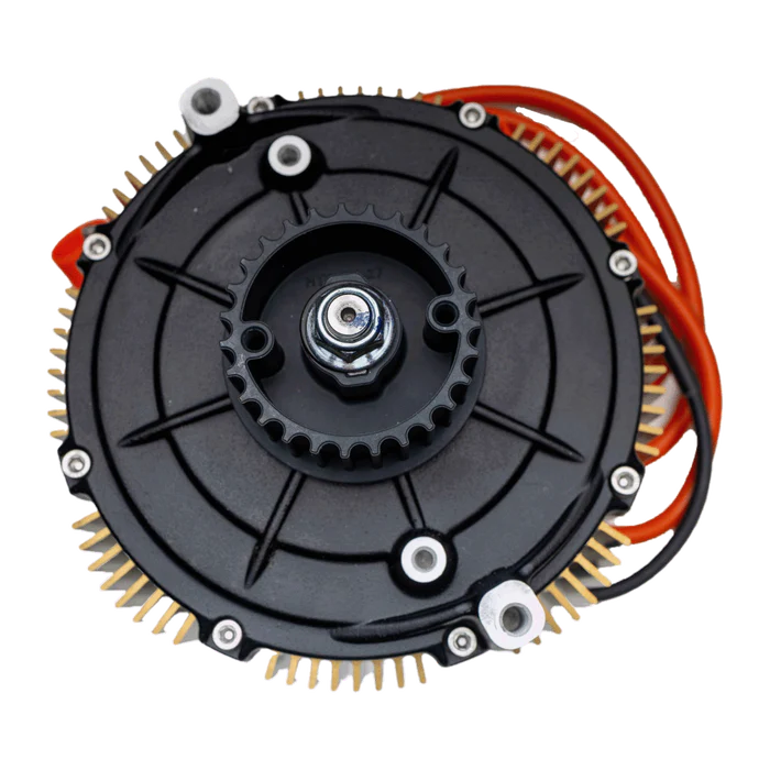 Ultra Bee Motor Assembly (2023-2024)